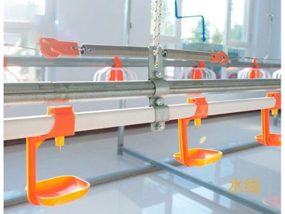 肉雞自動化飲水系統(tǒng)
